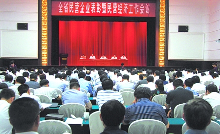 民營經(jīng)濟在風雨兼程中發(fā)展壯大