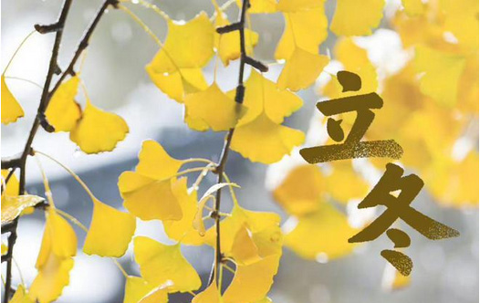 立冬?別了晚秋，遇見初冬 