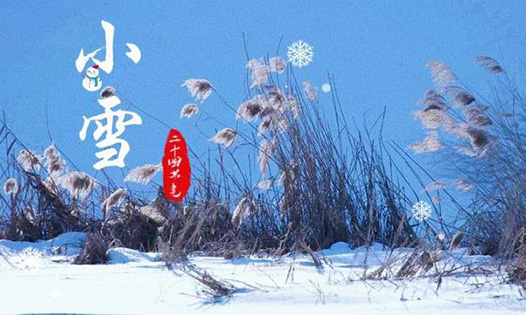 今日小雪丨天地初寒，愿歲月安暖